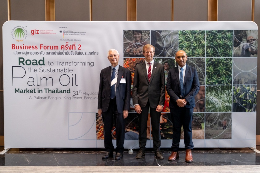 Enhancing Thai palm oil production to meet global sustainability demands