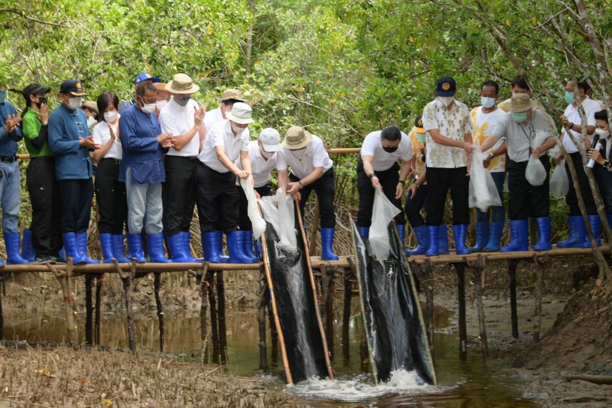 CP Foods kicks off a mangrove forestation in Trat province