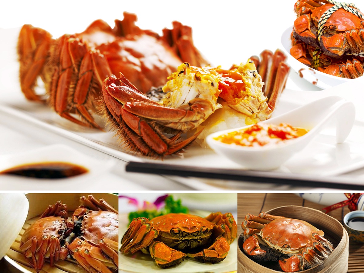 Time to taste Hairy Crab at Yok Chinese Restaurant