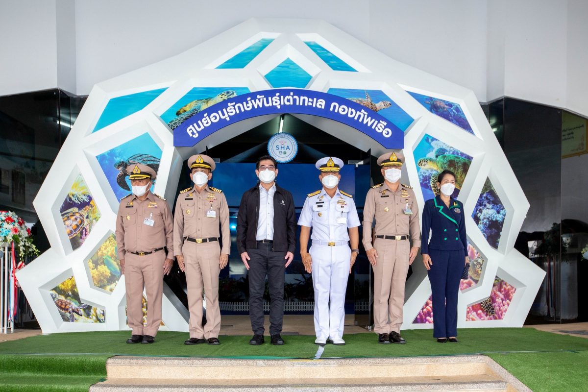 PTTEP renovates Sea Turtle Exhibition and Hatchery Building for the Royal Thai Navy Sea Turtle Conservation Center,