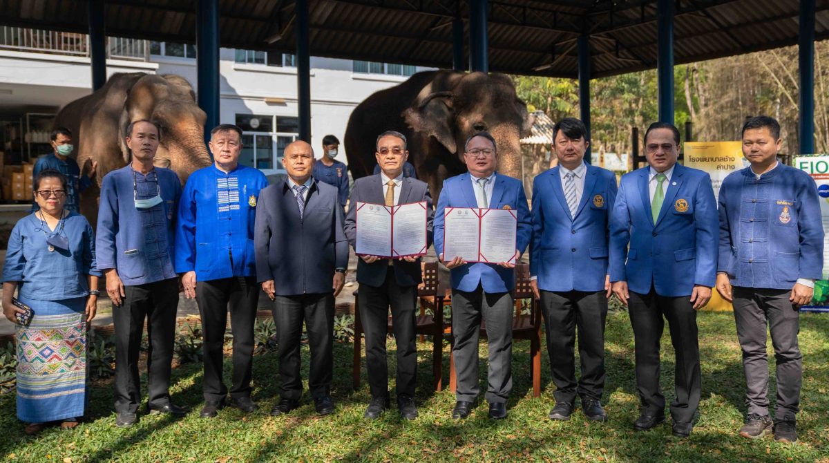 อ.อ.ป. MOU อสส. มุ่งพัฒนาองค์ความรู้ด้านงานวิชาการ - วิจัยสัตวแพทย์ 'ช้างไทย' .