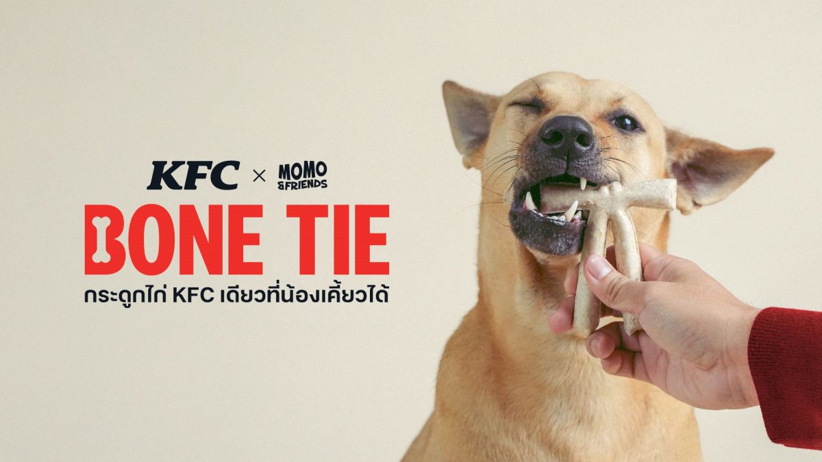 ครั้งแรกของโลก! KFC BONE TIE ขนมขัดฟันแปรรูปจากกระดูกไก่ KFC ที่น้องเคี้ยวได้ เซอร์ไพรส์วันมะหมาโลก