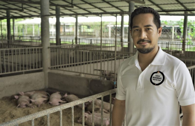 องค์กรพิทักษ์สัตว์แห่งโลกจี้ภาครัฐพัฒนามาตรฐานสวัสดิภาพสัตว์ฟาร์ม หลังสำรวจพบเชื้อดื้อยาเขตฟาร์มหมูและไก่ในไทยต่อเนื่อง