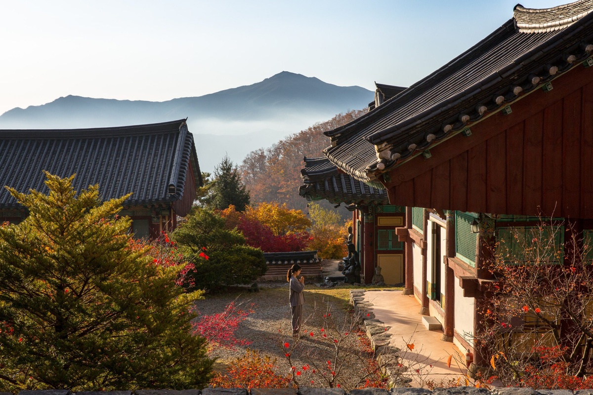 Korean Templestay: Where Tradition Meets Modernity