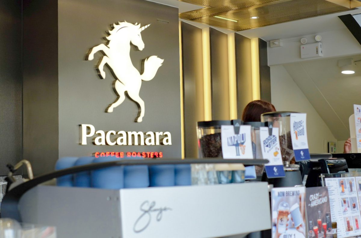 พาคามาร่า คอฟฟี่ โรสเตอร์ (Pacamara Coffee Roasters) ฉลองครบรอบ 13 ปี ประกาศรายได้เติบโตขึ้น 40% พร้อมกางแผนขยายอีก 12