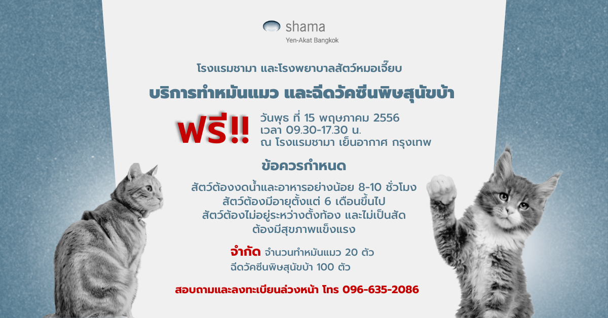 Shama Yen-Akat Bangkok โรงแรม Pet Friendly ย่านสาทร เล็งเห็นปัญหาสัตว์ไร้บ้าน เปิดโครงการ Shama อาสา ทำหมันแมวและฉีดวัคซีนพิษสุนัขบ้าฟรี