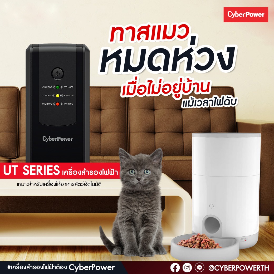 สงกรานต์นี้ ทาสแมวหมดห่วงด้วย CyberPower UT series เครื่องสำรองไฟฟ้า