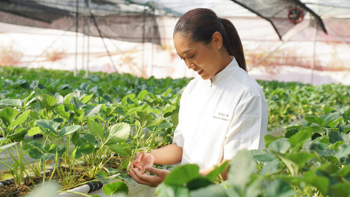 FOUR SEASONS RESORT CHIANG MAI REJOICES THE RETURN OF EXECUTIVE PASTRY CHEF YANISA WIANGNON