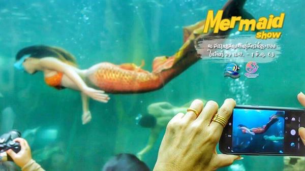 Mermaid Show กลับมาแล้ว!! กรมประมงเชิญชวนชมการแสดงเหล่านางเงือกแสนสวย อวดลีลาใต้สายน้ำ ณ สถานแสดงพันธุ์สัตว์น้ำระยอง 29 ก.พ. 1 มี.ค. 2563 นี้