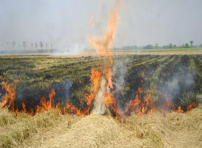 เกษตรฯ เดินหน้ารณรงค์ลดฝุ่น ลดควัน ชวนเกษตรกรงดเผาในพื้นที่การเกษตร