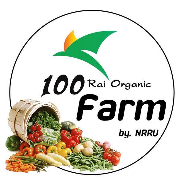 ราชภัฏโคราชขับเคลื่อนตลาดสินค้าเกษตร NRRU Organic Farm ปลูก/ผลิตอยู่บ้านก็ขายผลผลิตได้