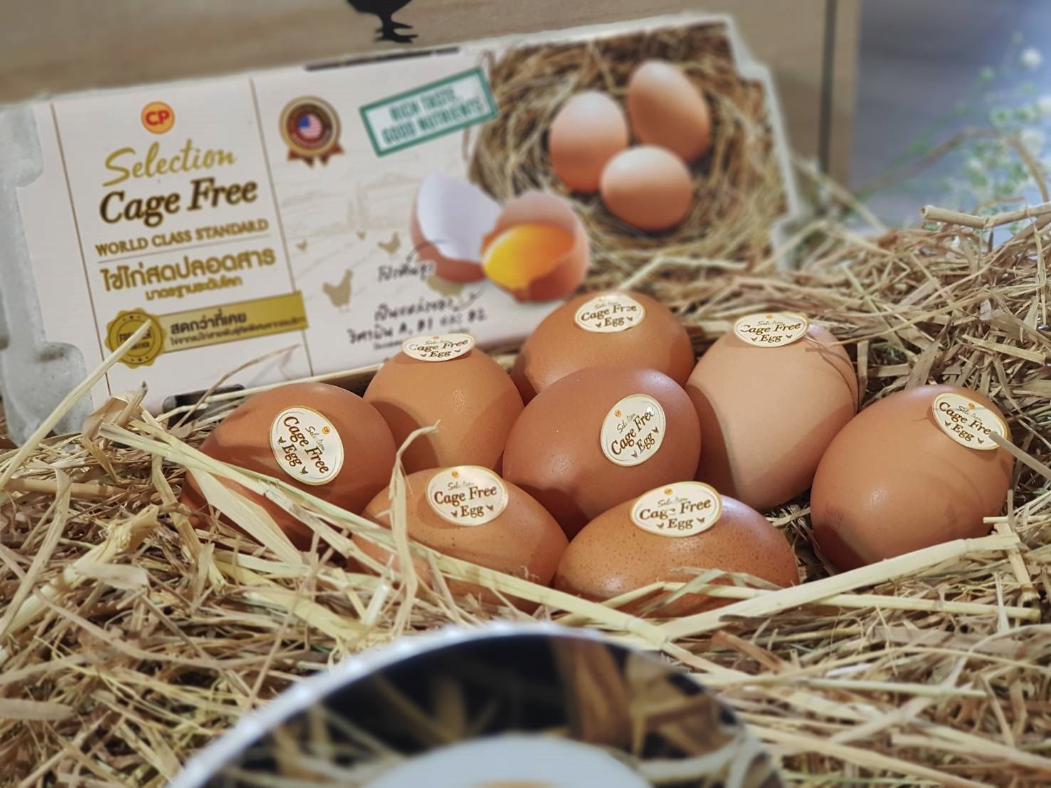 ซีพีเอฟเดินหน้าเพิ่มการผลิตไข่ไก่เคจฟรีตอบรับเทรนด์ผู้บริโภค