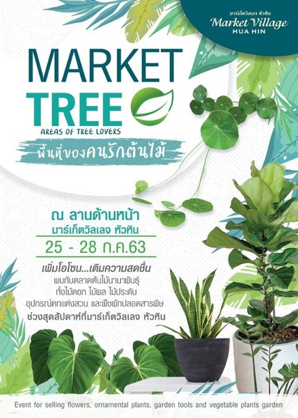Market Tree ตลาดของคนรักต้นไม้