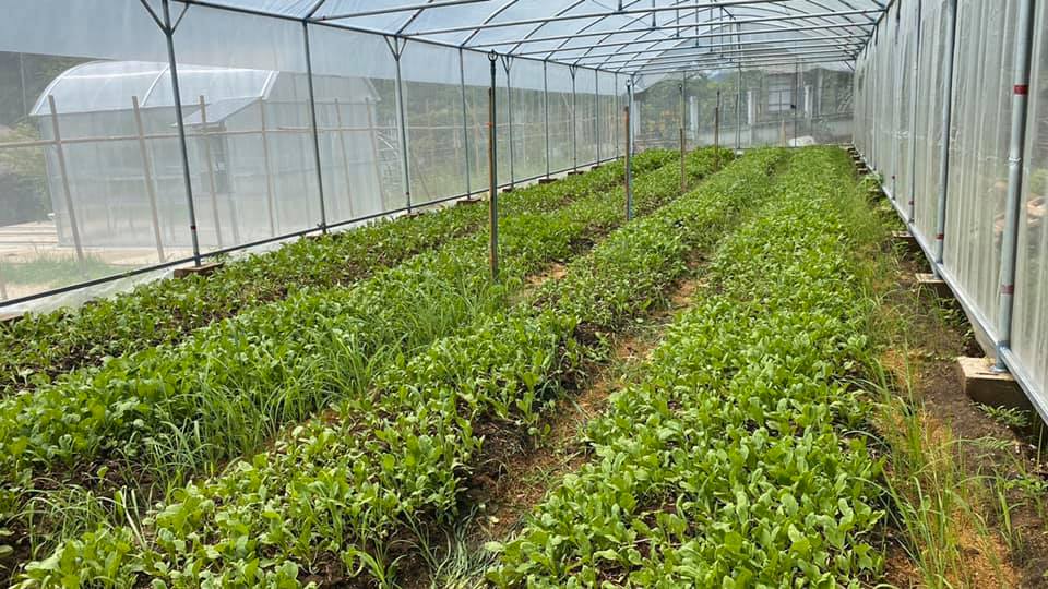 กรมส่งเสริมสหกรณ์ดันนิคมสหกรณ์เกษตรอินทรีย์ 10 จังหวัด ผลิตพืชผักปลอดภัยป้อนตลาด สร้างรายได้เกษตรกรเพิ่มครัวเรือนละ 150,000 บาท/ปี