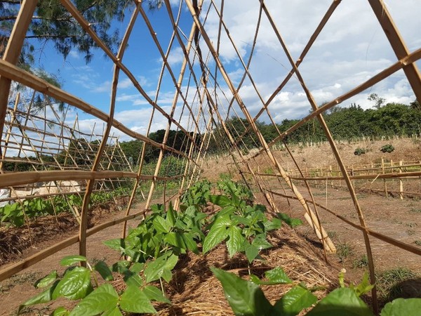 โครงการฟาร์มตัวอย่าง บ้านบ่อหวี ตำบลตะนาวศรี อำเภอสวนผึ้ง จังหวัด ราชบุรี ช่วยราษฎรที่ได้รับผลกระทบจากโควิด-19