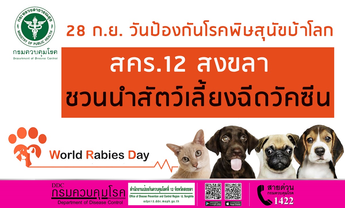 28 ก.ย. วันป้องกันโรคพิษสุนัขบ้าโลก สคร.12 สงขลา ชวนนำสัตว์เลี้ยงฉีดวัคซีน
