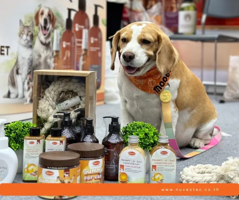 เกินคาด "นิวโวเทค (NV)" ได้รับความสนใจในอย่างล้นหลามในงาน Pet Fair Asia 2023 ที่ผ่านมา
