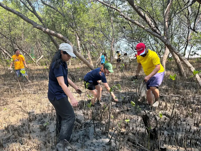 Unithai Group restores Mangrove Ecosystem on Earth Day to expand green areas and conserve the Environment