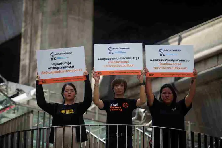 Global Day of Action: Campaigners Call on World Bank to End Industrial Farming Support