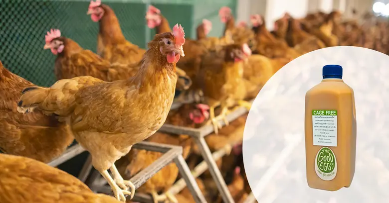 Sa-Nguan Farm launches Thailand's first cage-free pasteurized eggs