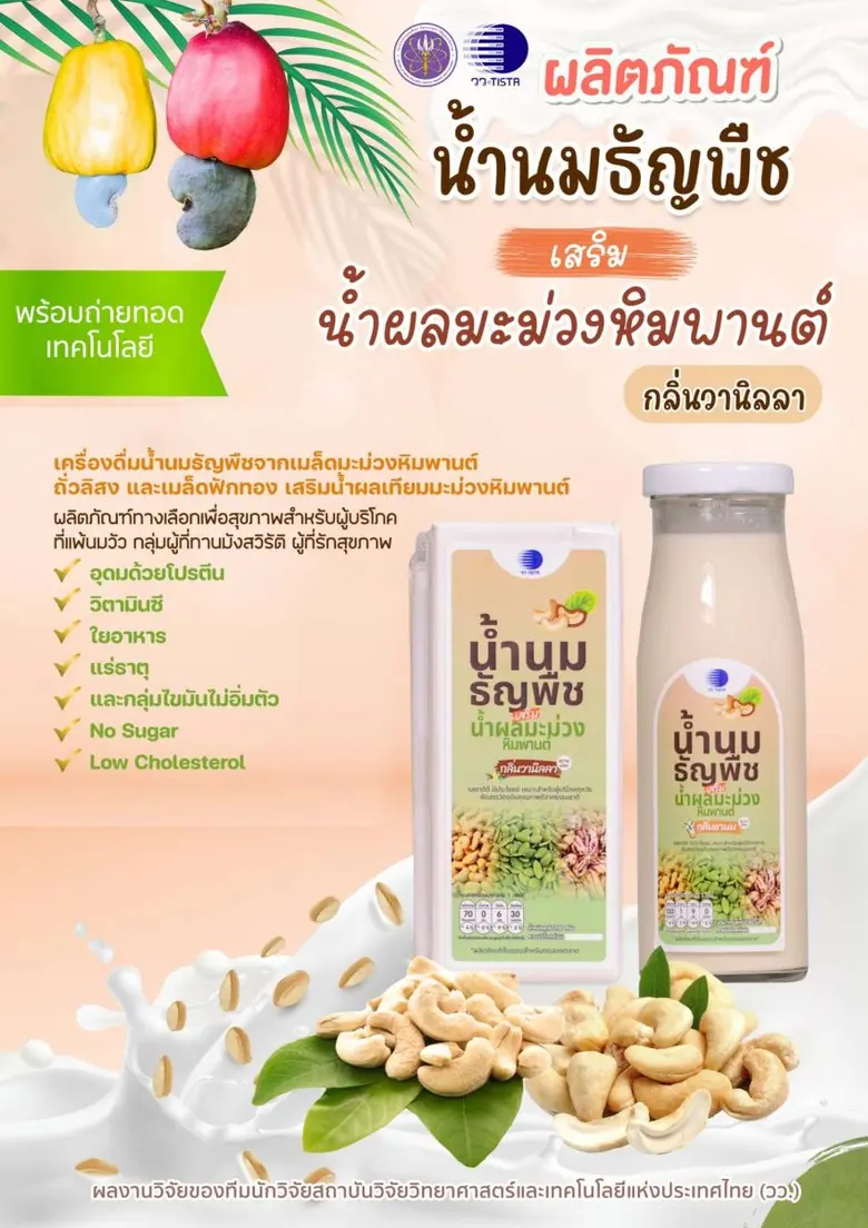 วว. พัฒนาผลิตภัณฑ์น้ำนมธัญพืชเสริมน้ำผลมะม่วงหิมพานต์