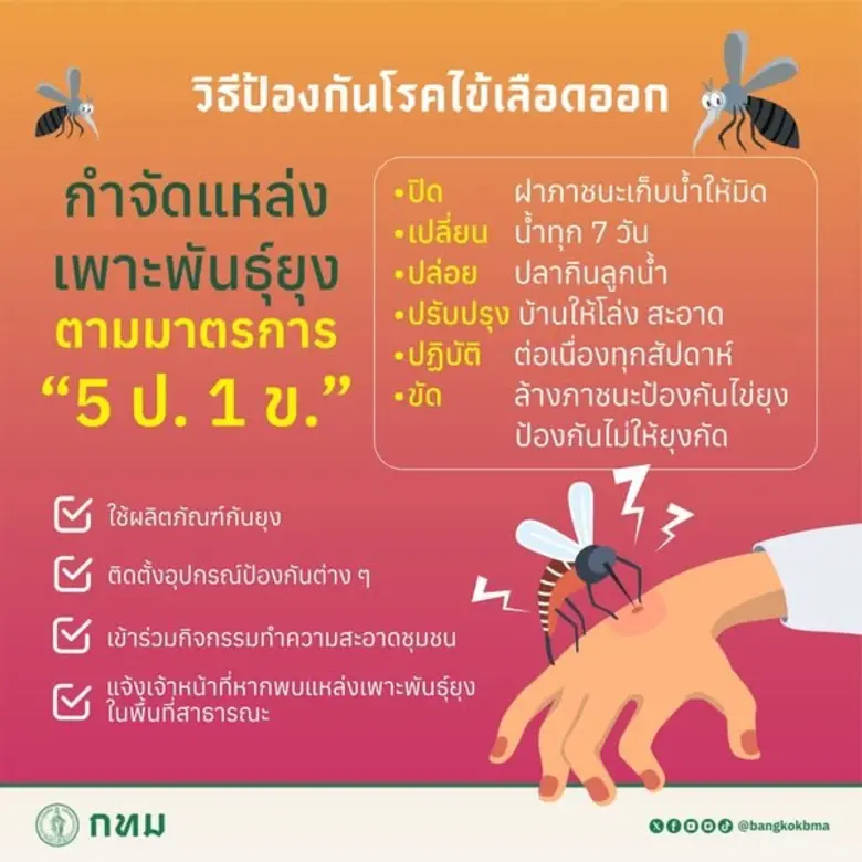 กทม. รุกเข้มมาตรการป้องกันไข้เลือดออก พร้อมพัฒนาระบบจัดการสาธารณสุขเขตเมือง