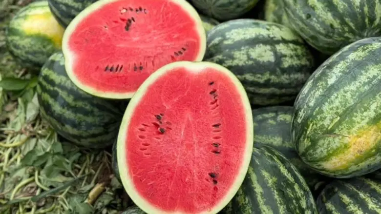 SALABLE FRESH FRUITS Launches on Food Farm Hub: Premium Thai Fruits Go Global