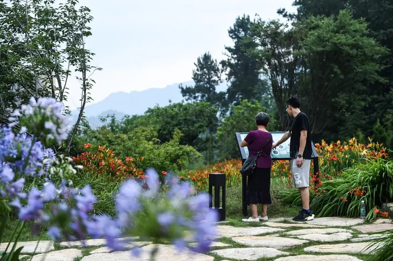 Guizhou's Fruitful Eco-Construction: from 'Experimental Zone' to 'Pilot Zone'