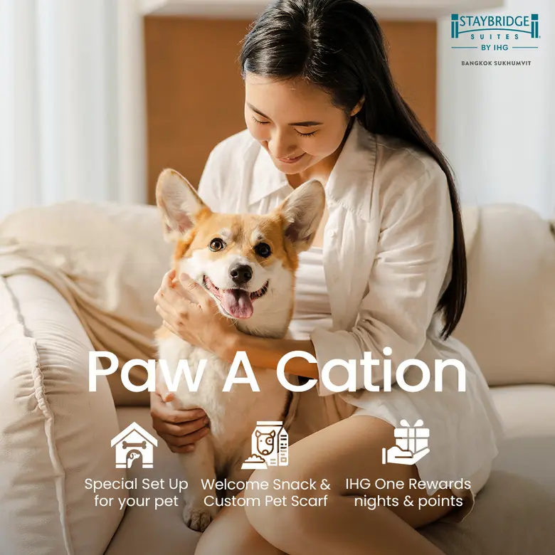 Benefits of Staying at a Pet-Friendly Hotel with the Paw A Cation Package at Staybridge Suites Bangkok Sukhumvit
