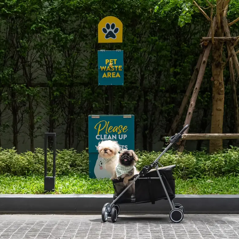 Benefits of Staying at a Pet-Friendly Hotel with the Paw A Cation Package at Staybridge Suites Bangkok Sukhumvit