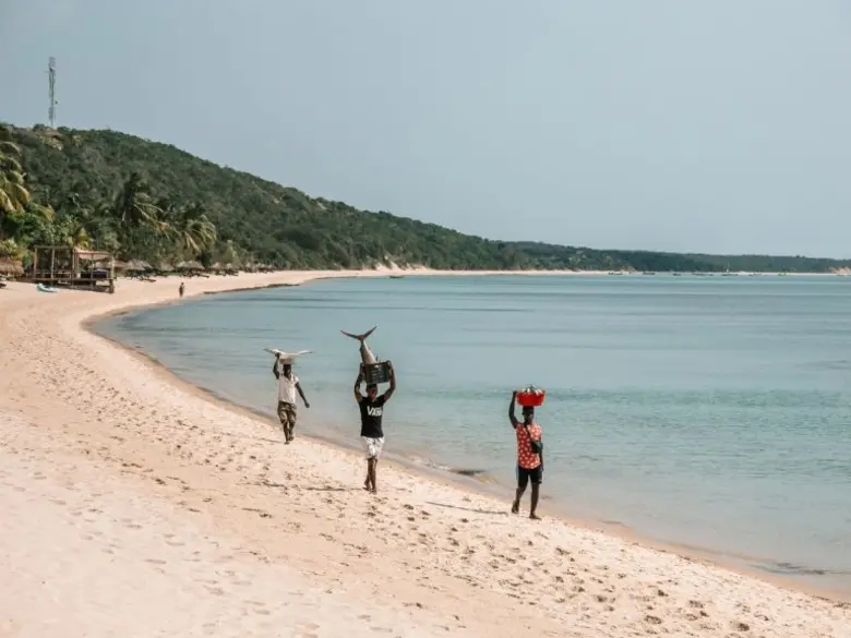 Cast Into Paradise: Pursue Mozambique's Marlin at Anantara Bazaruto Island Resort
