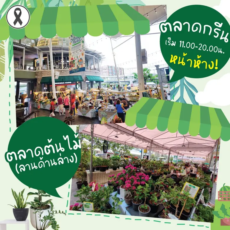 GREEN &amp; TREE MARKET 2025 พร้อมให้ช้อปแบบจัดเต็ม GREEN &amp; TREE MARKET 2025