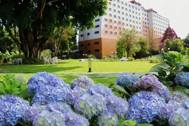 โรงแรมเฮอริเทจ เชียงราย โฮเทล แอนด์ คอนเวนชั่น ร่วมโครงการ "เที่ยวดี มีคืน"ชวนสัมผัสลมหนาว... เที่ยวเชียงรายอย่างคุ้มค่า พร้อมสิทธิ์ลดหย่อนภาษีสูงสุด 2 เท่า!