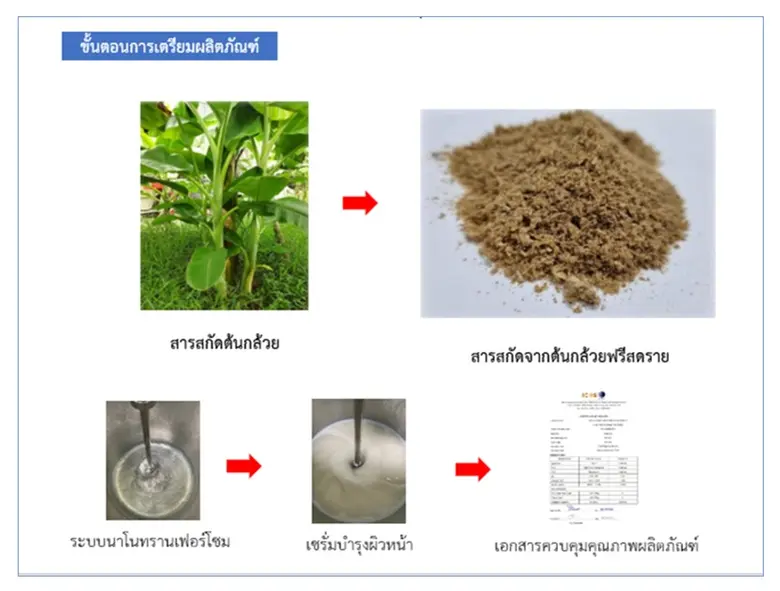 วว. พัฒนาต้นแบบเวชสำอางจากสารสกัดต้นกล้วย