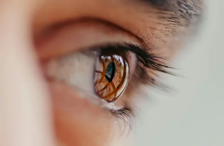 อย่ารอให้สายเกินแก้ 6 สารอาหารสำคัญที่ช่วยชะลอการเสื่อมของดวงตา