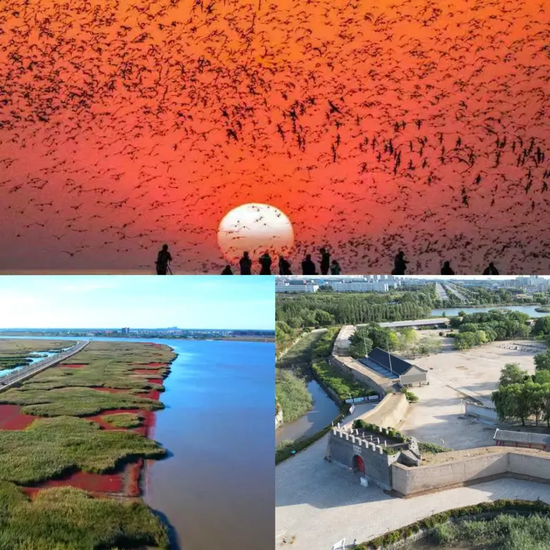 Leveraging the "Sunset Appeal" to Attract Visitors: Yingkou's West Coast Discovers the Unique Code for Tourism Success