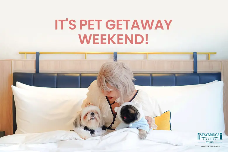 A relaxing pet-friendly weekend awaits at Staybridge Suites Bangkok Thonglor