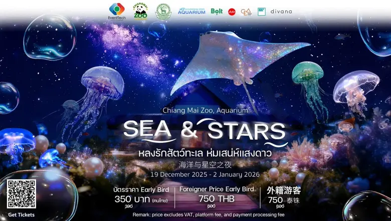 Sea &amp; Stars at Chiang Mai Zoo for New Year New Experience