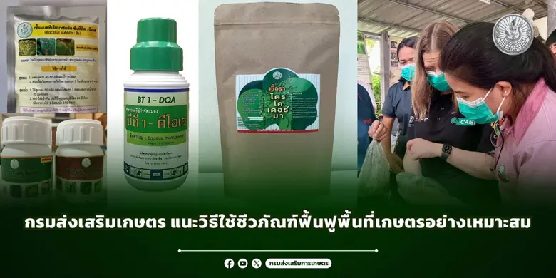 กรมส่งเสริมเกษตร แนะวิธีใช้ชีวภัณฑ์ฟื้นฟูพื้นที่เกษตรอย่างเหมาะสม