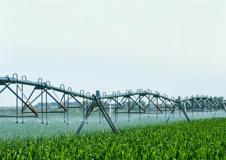 คินดริลและไมโครซอฟท์เผย 82% องค์กรไทย ผนึกพลังไอที-ความยั่งยืนได้อย่างแข็งแกร่ง ชี้ AI คือกลไกขับเคลื่อน เพื่อปลดล็อกการเติบโตอย่างเป็นมิตรต่อสิ่งแวดล้อม