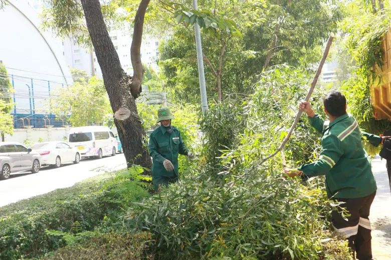 เขตปทุมวันตัดแต่งต้นไม้บดบังแสงไฟเกาะกลางถนนอังรีดูนังต์ เพิ่มความปลอดภัยบนถนนยามค่ำคืน