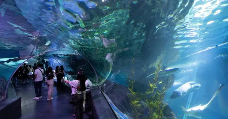 เที่ยวส่งท้ายปีด้วยความมหัศจรรย์ "ซีไลฟ์ แบงคอก" ชวนท่องโลกคริสต์มาสใต้ท้องทะเล! กับคู่หูดูโอ้ Greenie &amp; Elfie สุดน่ารัก ถึง 15 ม.ค. 69