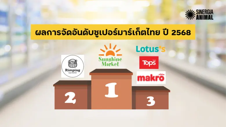 Thailand's Supermarket Cage-Free Ranking 2025, Urging Greater Corporate Transparency and Animal Welfare Standards