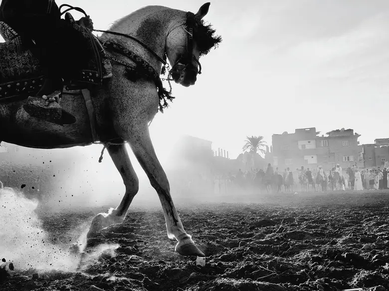 OPPO ประกาศผู้ชนะการประกวดภาพถ่ายระดับโลกประจำปี 2568 พร้อมเปิดตัวภาพถ่ายช่วงเวลาโมเมนต์สุดพิเศษ