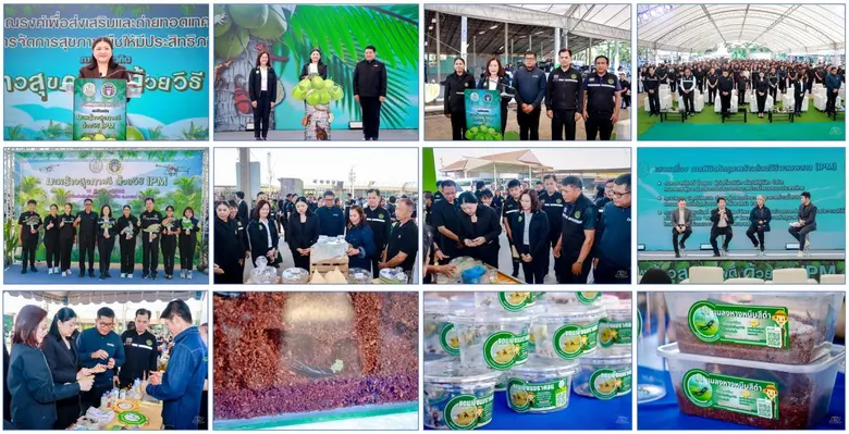 กรมส่งเสริมการเกษตร ผนึกกำลังเกษตรราชบุรี เกษตรเขตภาคตะวันตก จัดงานรณรงค์เพื่อส่งเสริมและถ่ายทอดเทคโนโลยีการจัดการสุขภาพพืชให้มีประสิทธิภาพ ภายใต้แนวคิด "มะพร้าวสุขภาพดี ด้วยวิธี IPM"