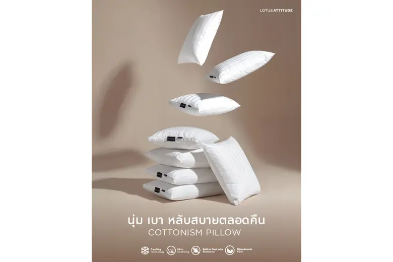 สัมผัสที่สุดแห่งความสบาย ระดับโรงแรม 5 ดาว LOTUS ATTITUDE Cottonism Pillow