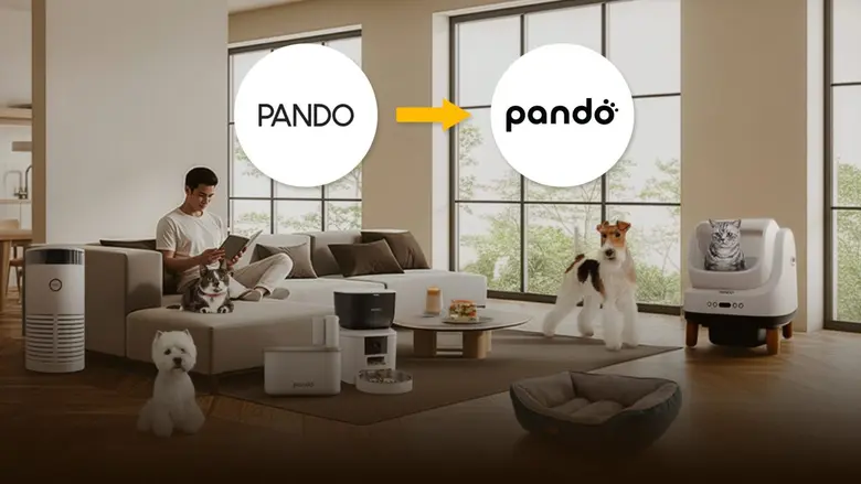 Pando Unveils Major Rebrand After Five Years, Launches Online Shopping Portal with Rabbit Rewards Partnership
