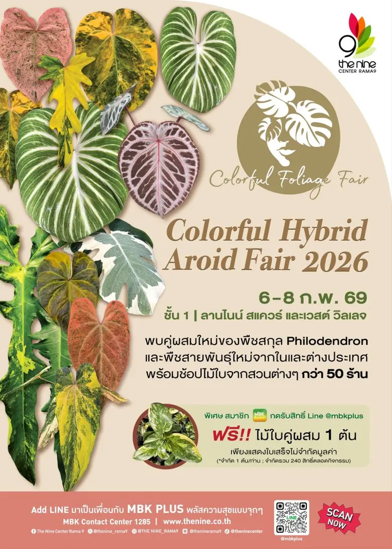กลับมาอีกครั้ง Colorful Foliage #7 งาน Colorful Hybrid Aroid Fair 2026