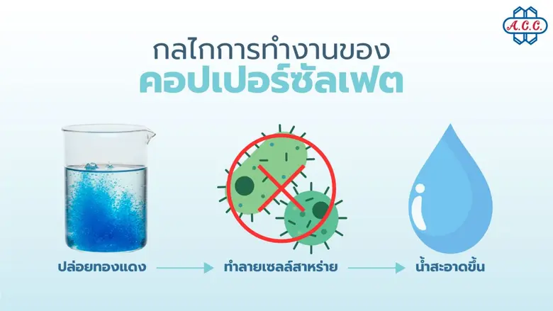 เจาะลึกบทบาท คอปเปอร์ซัลเฟต ในการบำบัดน้ำเสียอุตสาหกรรม เทคนิคควบคุมจุลินทรีย์และสาหร่ายเพื่อคุณภาพน้ำที่เป็นมิตรต่อสิ่งแวดล้อม