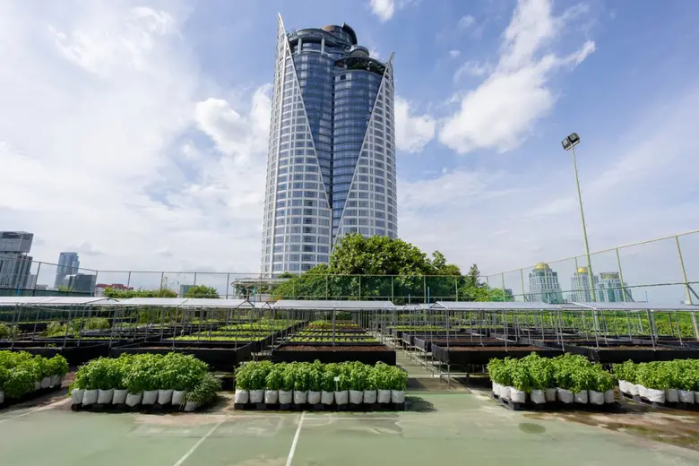 โรงแรมเซ็นทาราแกรนด์ฯ เซ็นทรัลเวิลด์ เสิร์ฟความสดผ่านกระเช้าผักออร์แกนิคตามฤดูกาล